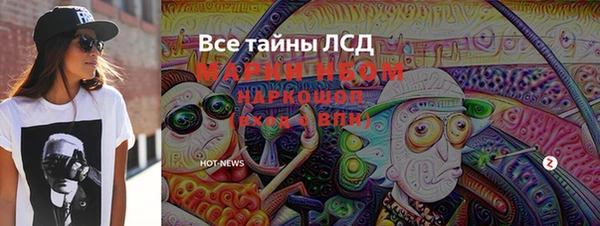 дживик Богородицк