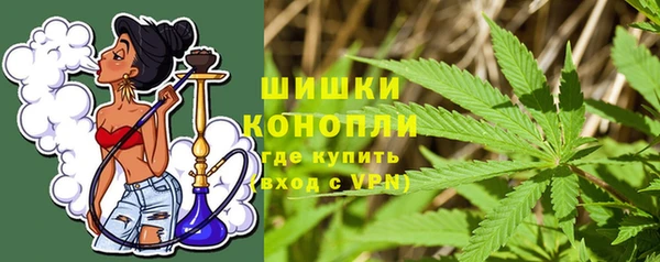 гидропоника Бородино