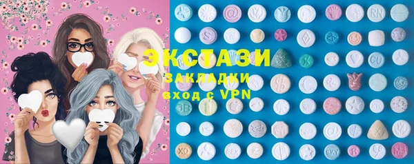 дживик Богородицк