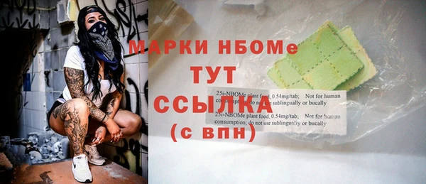 дживик Богородицк
