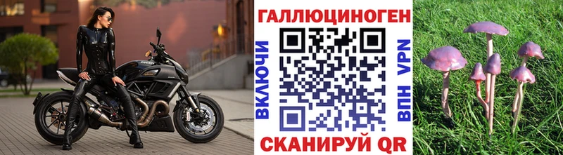 Купить  Нижняя Салда  Псилоцибиновые грибы GOLDEN TEACHER 